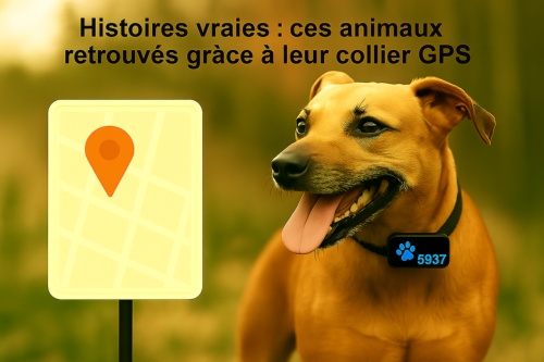Animaux retrouvs grce  leur collier