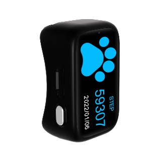 Collier GPS Chat et Chien -  IPX7 | Traceur Étanche 4G
