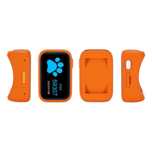 Collier GPS Chat et Chien -  IPX7 | Traceur Étanche 4G