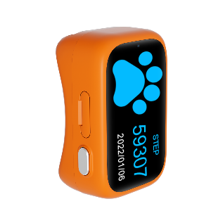 Collier GPS Chat et Chien -  IPX7 | Traceur Étanche 4G